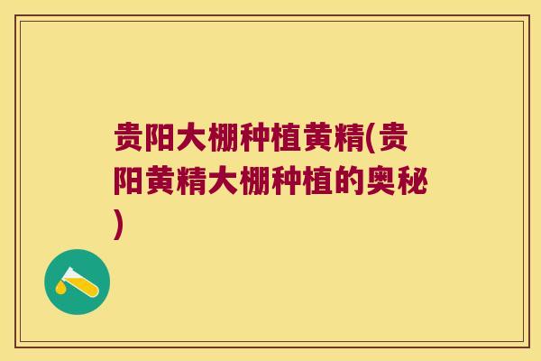 贵阳大棚种植黄精(贵阳黄精大棚种植的奥秘)