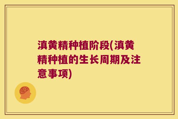 滇黄精种植阶段(滇黄精种植的生长周期及注意事项) 滇黄精种植阶段(滇黄精种植的生长周期及注意事项)