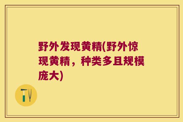 野外发现黄精(野外惊现黄精，种类多且规模庞大)