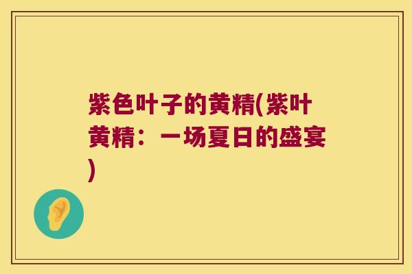 紫色叶子的黄精(紫叶黄精:一场夏日的盛宴) 紫色叶子的黄精(紫叶黄精:一场夏日的盛宴)