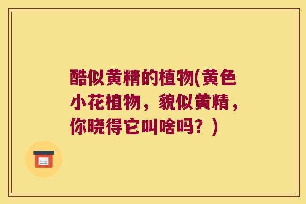 酷似黄精的植物(黄色小花植物，貌似黄精，你晓得它叫啥吗？)