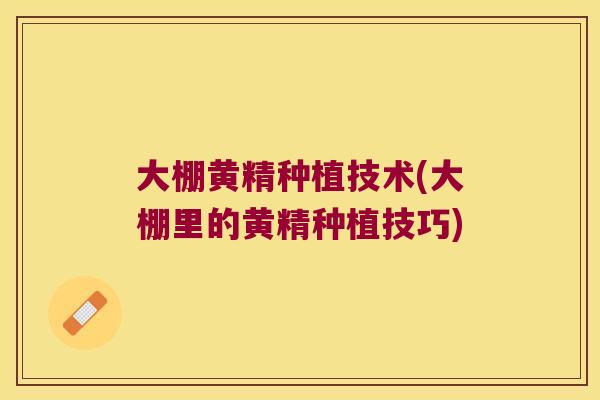 大棚黄精种植技术(大棚里的黄精种植技巧) 大棚黄精种植技术(大棚里的黄精种植技巧)