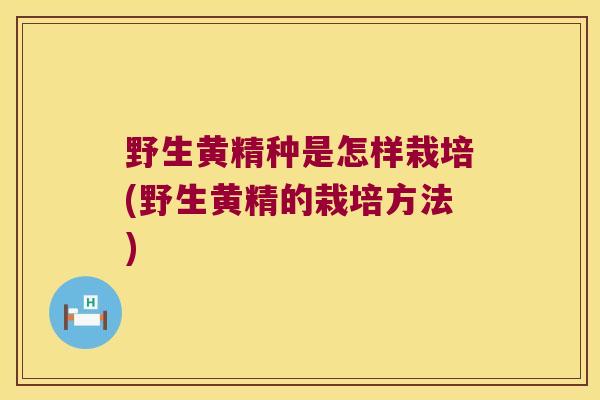 野生黄精种是怎样栽培(野生黄精的栽培方法)