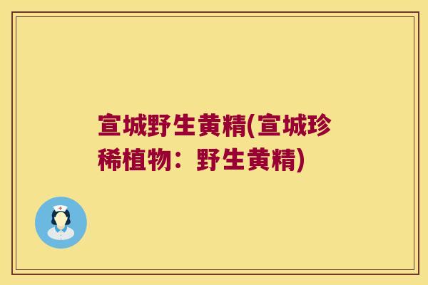 宣城野生黄精(宣城珍稀植物：野生黄精)
