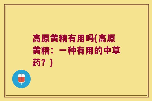 高原黄精有用吗(高原黄精:一种有用的中草药?) 高原黄精有用吗(高原黄精:一种有用的中草药?)
