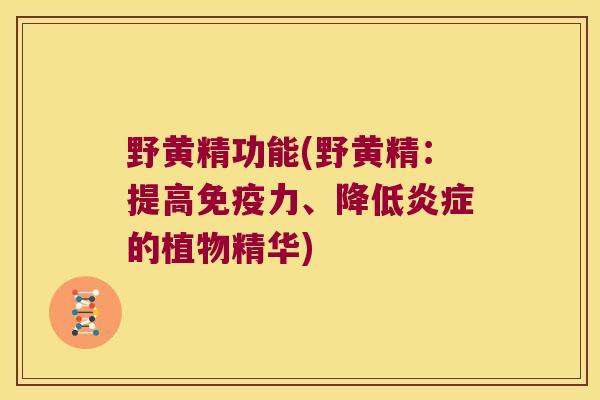 野黄精功能(野黄精:提高力、降低的植物精华) 野黄精功能(野黄精:提高力、降低的植物精华)