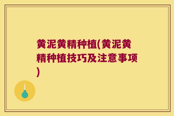 黄泥黄精种植(黄泥黄精种植技巧及注意事项) 黄泥黄精种植(黄泥黄精种植技巧及注意事项)