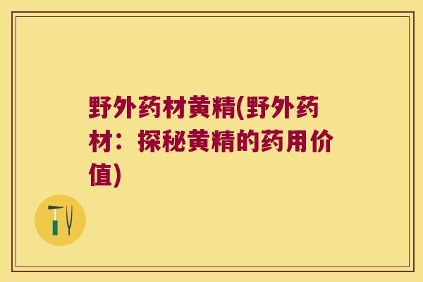 野外药材黄精(野外药材：探秘黄精的药用价值)