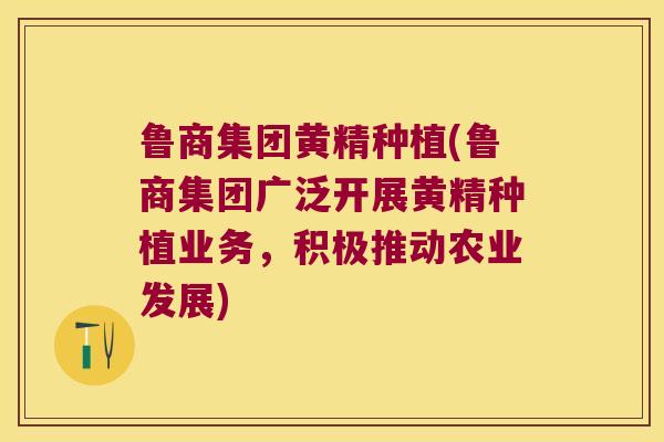 鲁商集团黄精种植(鲁商集团广泛开展黄精种植业务，积极推动农业发展)
