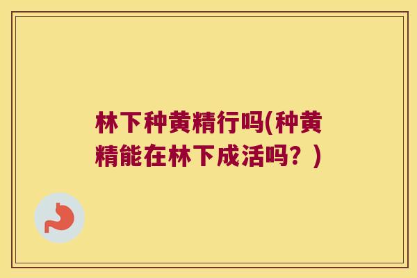 林下种黄精行吗(种黄精能在林下成活吗？)