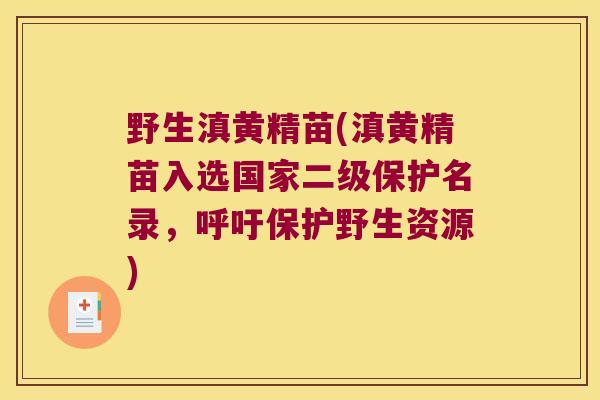 野生滇黄精苗(滇黄精苗入选国家二级保护名录，呼吁保护野生资源)