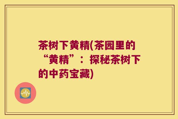 茶树下黄精(茶园里的“黄精”:探秘茶树下的宝藏) 茶树下黄精(茶园里的“黄精”:探秘茶树下的宝藏)