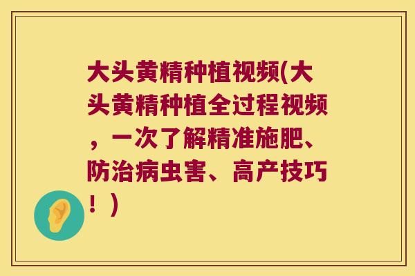 大头黄精种植视频(大头黄精种植全过程视频，一次了解精准施肥、防虫害、高产技巧！)