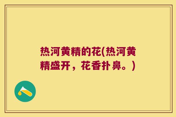 热河黄精的花(热河黄精盛开，花香扑鼻。)