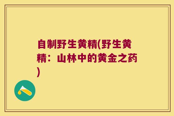 自制野生黄精(野生黄精:山林中的黄金之药) 自制野生黄精(野生黄精:山林中的黄金之药)