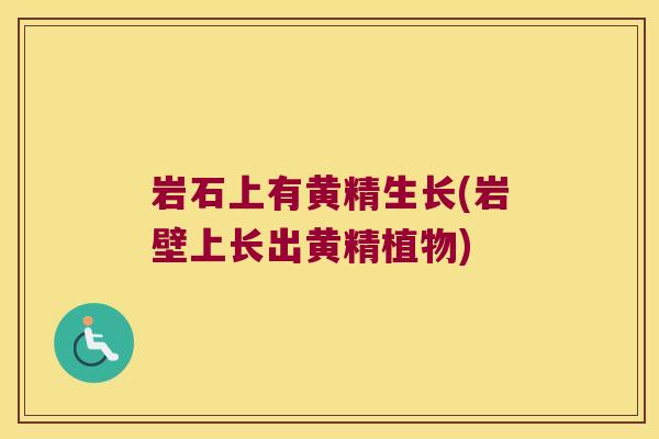 岩石上有黄精生长(岩壁上长出黄精植物) 岩石上有黄精生长(岩壁上长出黄精植物)
