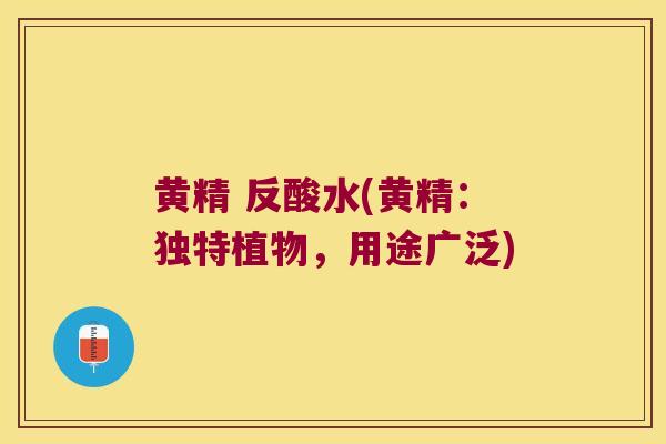 黄精 反酸水(黄精：独特植物，用途广泛)