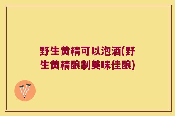 野生黄精可以泡酒(野生黄精酿制美味佳酿)