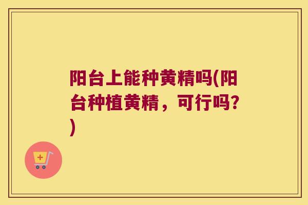 阳台上能种黄精吗(阳台种植黄精，可行吗？)