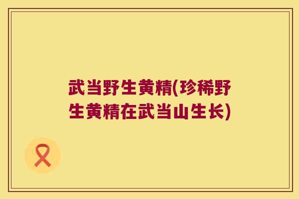 武当野生黄精(珍稀野生黄精在武当山生长)