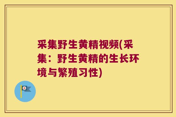 采集野生黄精视频(采集：野生黄精的生长环境与繁殖习性)