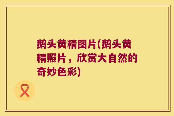 鹅头黄精图片(鹅头黄精照片，欣赏大自然的奇妙色彩)