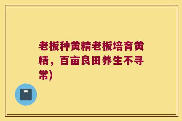 老板种黄精老板培育黄精，百亩良田养生不寻常)