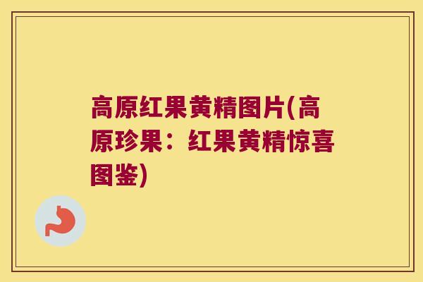高原红果黄精图片(高原珍果：红果黄精惊喜图鉴)