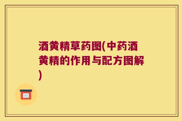 酒黄精草药图(酒黄精的作用与配方图解) 酒黄精草药图(酒黄精的作用与配方图解)