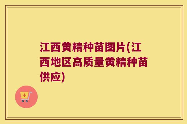 江西黄精种苗图片(江西地区高质量黄精种苗供应) 江西黄精种苗图片(江西地区高质量黄精种苗供应)