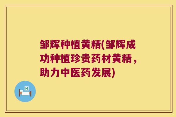 邹辉种植黄精(邹辉成功种植珍贵药材黄精，助力中医药发展)