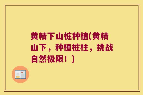黄精下山桩种植(黄精山下,种植桩柱,挑战自然极限!) 黄精下山桩种植(黄精山下,种植桩柱,挑战自然极限!)