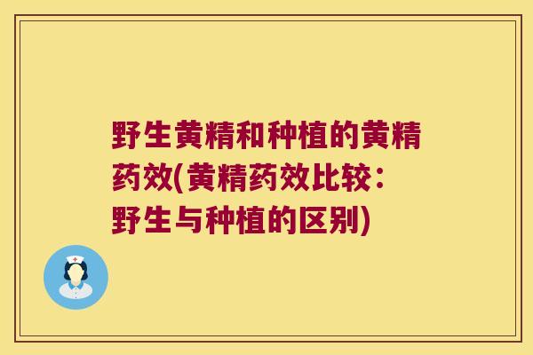 野生黄精和种植的黄精(黄精比较:野生与种植的区别) 野生黄精和种植的黄精(黄精比较:野生与种植的区别)