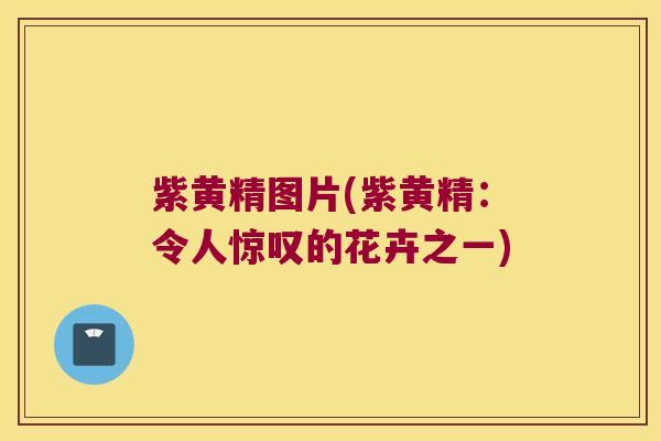 紫黄精图片(紫黄精:令人惊叹的花卉之一) 紫黄精图片(紫黄精:令人惊叹的花卉之一)