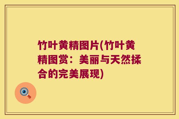 竹叶黄精图片(竹叶黄精图赏：美丽与天然揉合的完美展现)