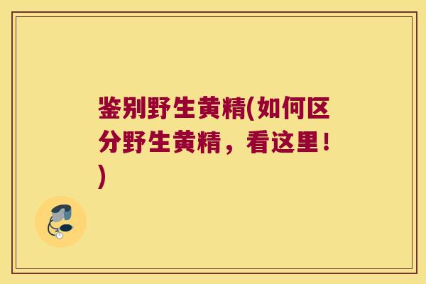 鉴别野生黄精(如何区分野生黄精，看这里！)