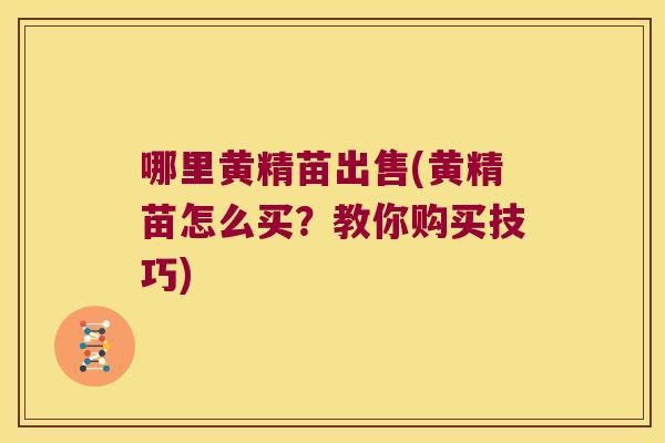哪里黄精苗出售(黄精苗怎么买？教你购买技巧)