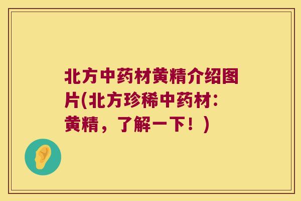 北方材黄精介绍图片(北方珍稀材：黄精，了解一下！)
