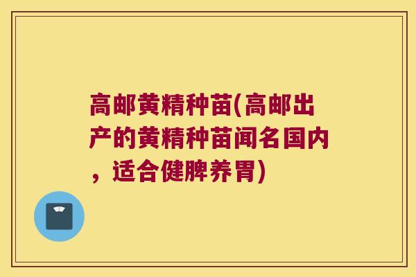 高邮黄精种苗(高邮出产的黄精种苗闻名国内,适合健脾养胃) 高邮黄精种苗(高邮出产的黄精种苗闻名国内,适合健脾养胃)