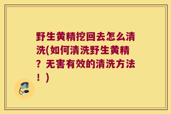 野生黄精挖回去怎么清洗(如何清洗野生黄精？无害有效的清洗方法！)