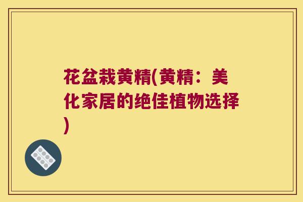 花盆栽黄精(黄精：美化家居的绝佳植物选择)