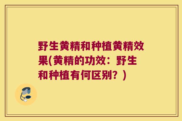野生黄精和种植黄精效果(黄精的功效：野生和种植有何区别？)