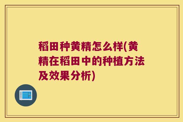稻田种黄精怎么样(黄精在稻田中的种植方法及效果分析)