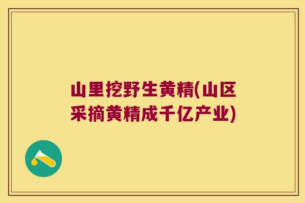 山里挖野生黄精(山区采摘黄精成千亿产业)