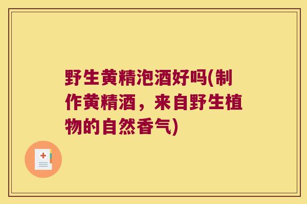 野生黄精泡酒好吗(制作黄精酒，来自野生植物的自然香气)