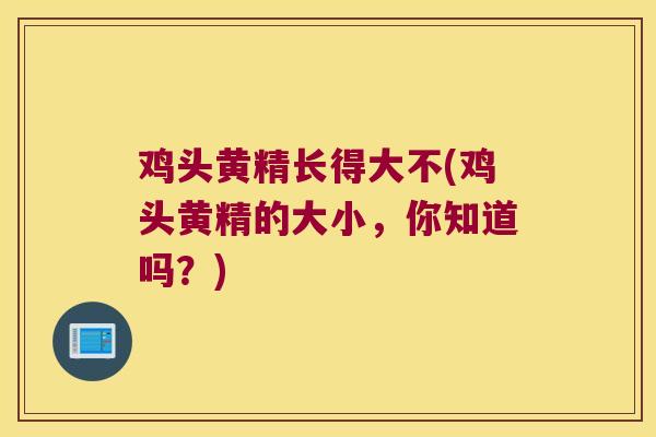 鸡头黄精长得大不(鸡头黄精的大小，你知道吗？)