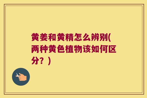黄姜和黄精怎么辨别(两种黄色植物该如何区分？)