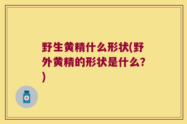 野生黄精什么形状(野外黄精的形状是什么？)