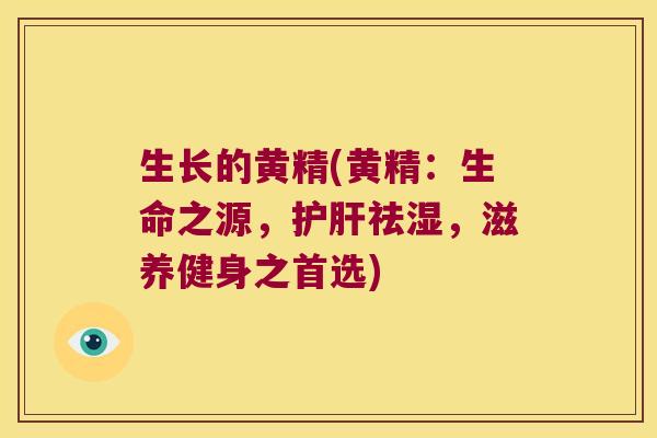 生长的黄精(黄精：生命之源，祛湿，滋养健身之首选)