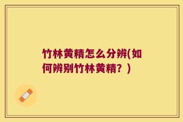 竹林黄精怎么分辨(如何辨别竹林黄精?) 竹林黄精怎么分辨(如何辨别竹林黄精?)